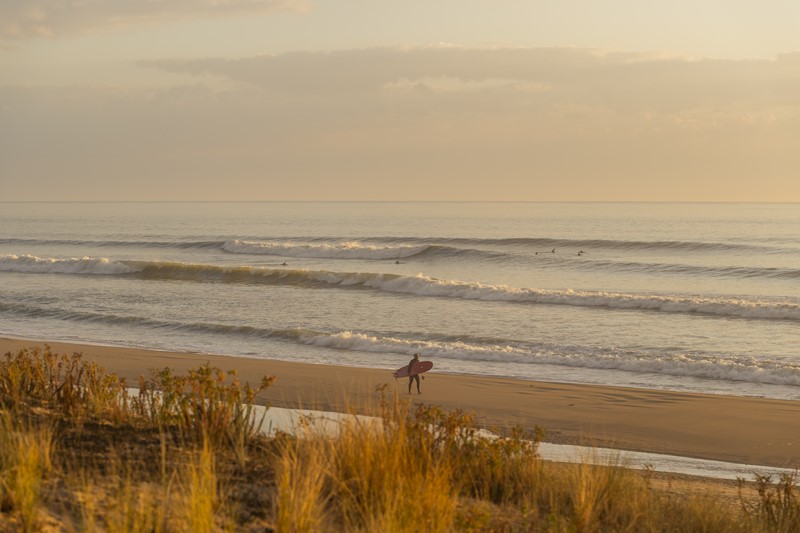 Vendée surf schools image de l'accroche